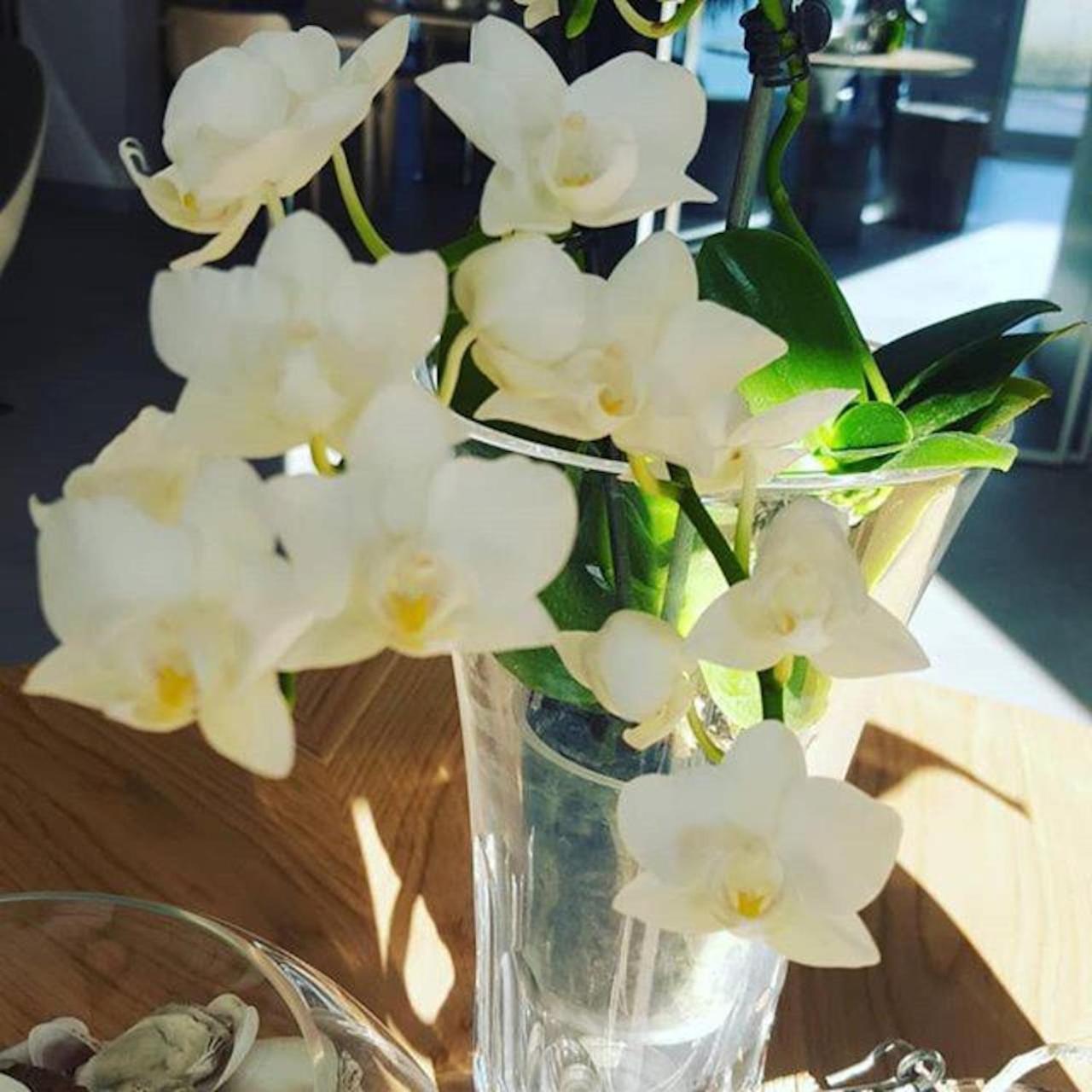 Hotel Villa Barsanti Pietrasanta Luaran gambar